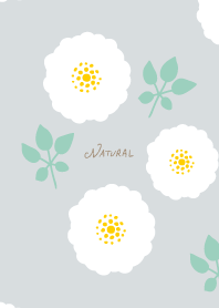 round white flowers leaves20 from Japan