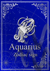 12星座 水瓶座 シルバーブルー2