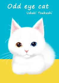 Odd eye cat