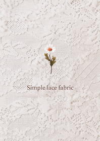 Simple lace fabric_01