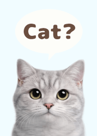British Shorthair Simples 3 Blue 03