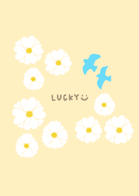 Blue Bird of Happiness White Flower7 J