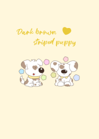 Dark brown striped puppy3