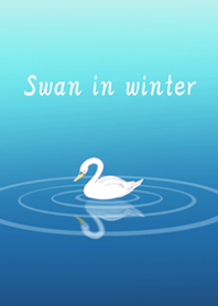Swan in winter