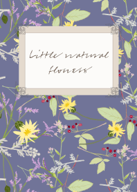 Little natural flowers 07