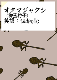 オタマジャクシ着せ替え