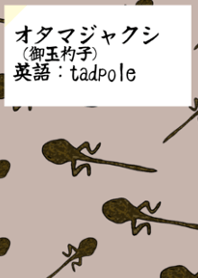 Theme for tadpoles