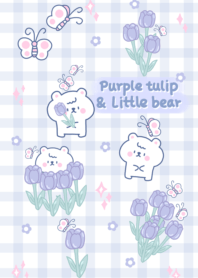 Tulip x Little bear