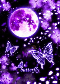 夜桜に蝶[サクラ]Purple
