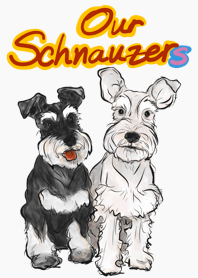 Our Schnauzers