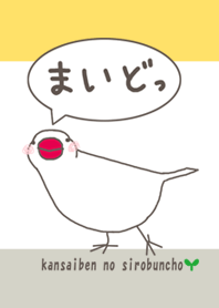 関西弁の白文鳥