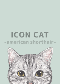 ICON CAT - アメショ - PASTEL GR/05