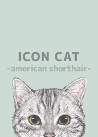 ICON CAT-American Shorthair-PASTEL GR/05
