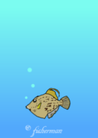 Thread-sail filefish