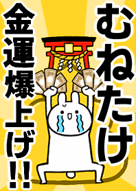 Fortune rise rabbiit[Munetake]