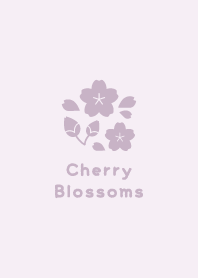 Cherry Blossoms5<PurplePink>