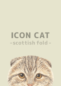 ICON CAT - Scottish fold - PASTEL YE/06