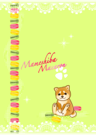 macaron mame shiba dog 5