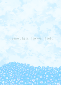 nemophila flower field