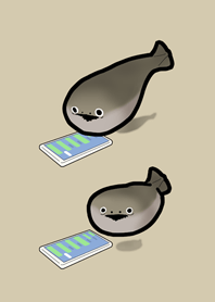 等待回覆的薩卡班甲魚