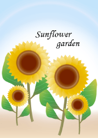 Sunflower garden