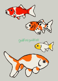 Ikan Mas Goldfish *