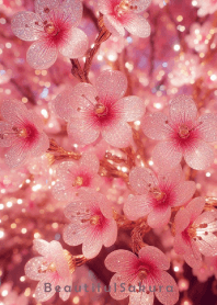 Beautiful Sakura-CUTE PINK 21
