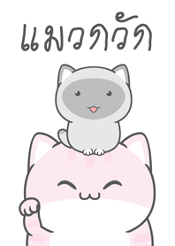 แมวกวัก