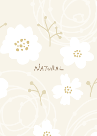 White flowers stylish cute from Japan