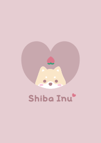 Shiba Inu2 Peach - pink
