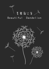 Mysterious dandelion