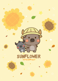 Buffalo Sunflower Lover