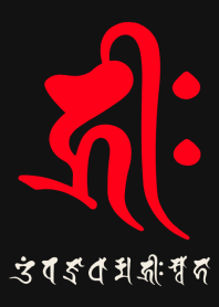 BONJI zodiac [hriiH] BLACK RED (0401