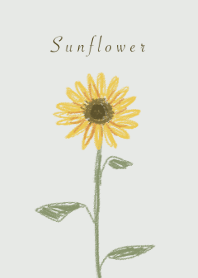 Little Sun flower
