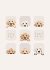 DOGS - Golden retriever - BEIGE