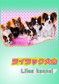 XR商店サンプル着せ替え