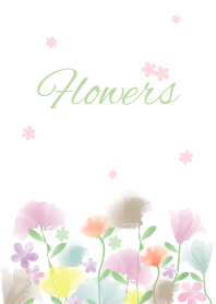 F l o w e r s - Pretty 40 -