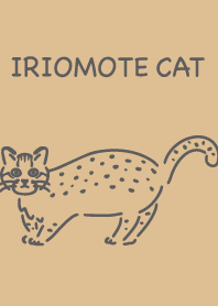 Iriomote cat Simple Brown wild