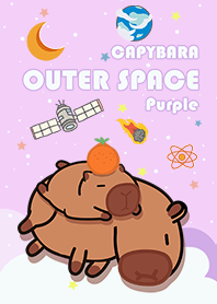 Capybara/lazy/starry sky/purple