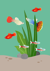 虛擬魚缸！(薄荷綠色)