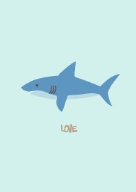 shark are my favorite13 from Japan