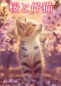-*Cat and Cherry Blossoms*-
