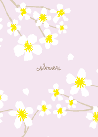 A white flower blooms Purple5 from Japan