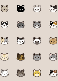 Cat Colours And Patterns