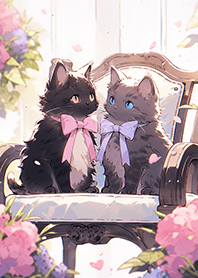 2隻相愛的貓咪❤拍夫妻照