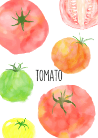 수채화 토마토