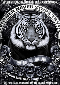 Speed metall dragon fire Tiger & dragon3