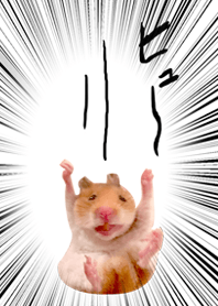 Falling hamster