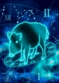 生肖猪-水瓶座-