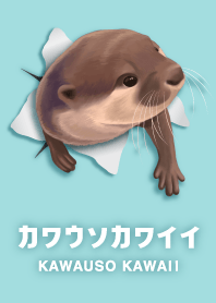 カワウソカワイイ